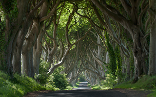 Game of Thrones